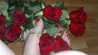 2012-08-30-122.jpg
