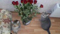 2012-08-30-128.jpg