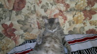 2012-06-27-002.jpg
