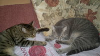 2012-08-20-097.jpg