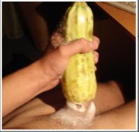 кабачок2.JPG кабачок2.JPG