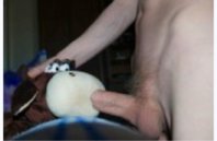 cow3.JPG