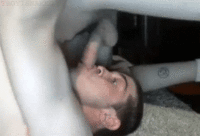 7.gif