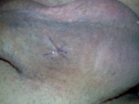342_1000-4.jpg
