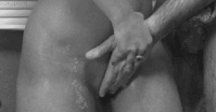 xw4yc8pk.gif