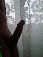 DSC00155.JPG