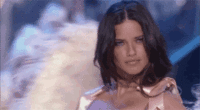 12970355.gif