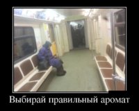 1363587196_29.jpg