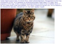 tjw87h_y2HA.jpg