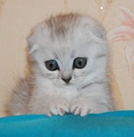 IMG_3044.JPG