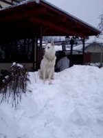 20130210_163020.jpg