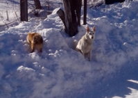 IMG_20130224_144010.jpg