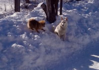 IMG_20130224_144015.jpg