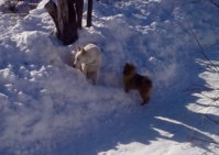 IMG_20130224_144019.jpg