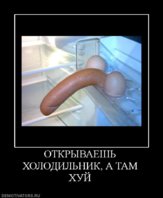 143778_otkryivaesh-holodilnik-a-tam-huj.jpg
