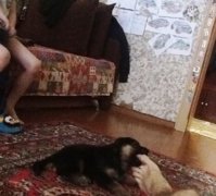 IMG_1095.JPG